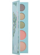 Fruit Pigmented Pretty Naked Palette