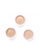 SAMPLES - Fruit pigmented Water foundation (hydration + antioxidants)
