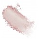 Fruit Pigmented Luminescent Powder - Pink Champagne